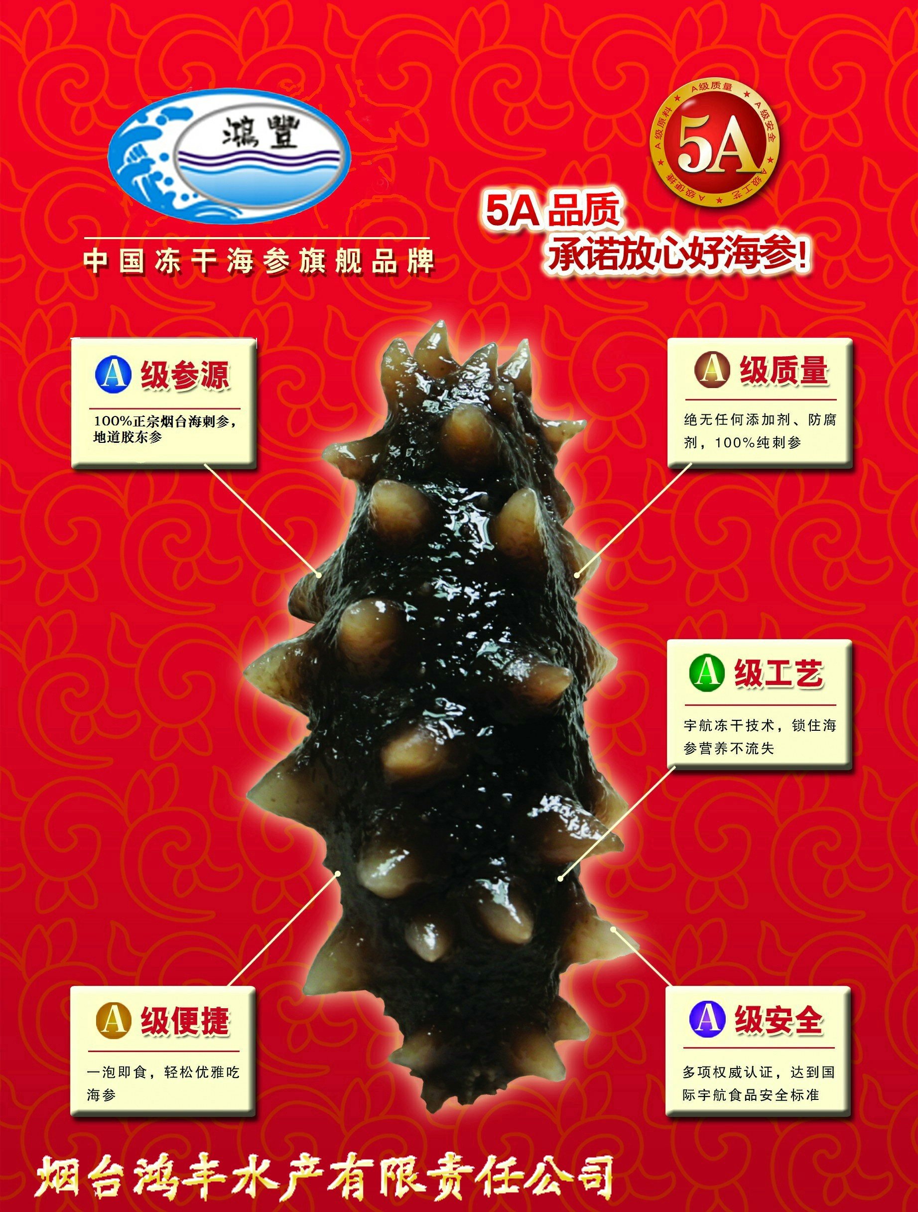 淡干海参